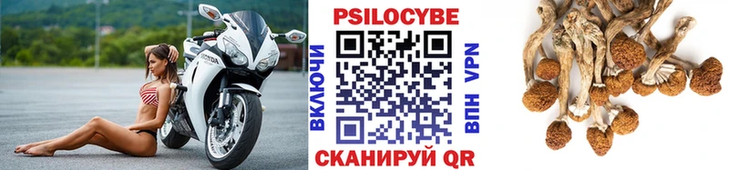 Псилоцибиновые грибы Cubensis  Нововоронеж 